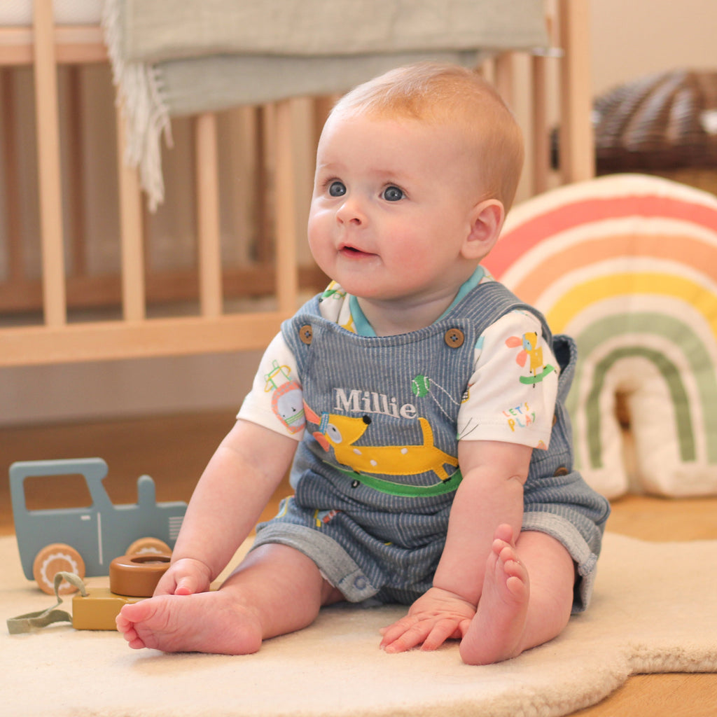 Personalised Dog Dungarees For Baby Newborn Gift