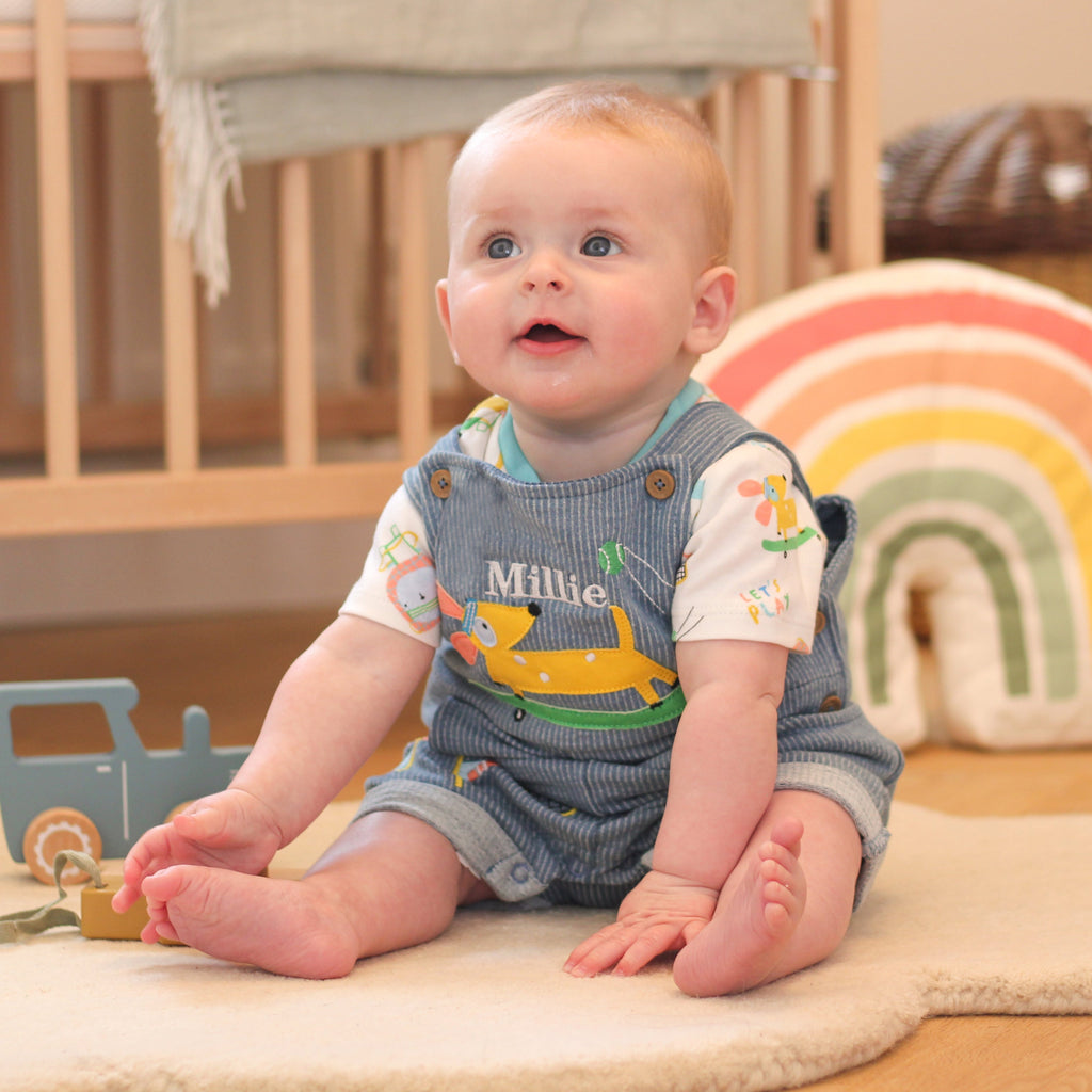 Personalised Dog Dungarees For Baby Newborn Gift