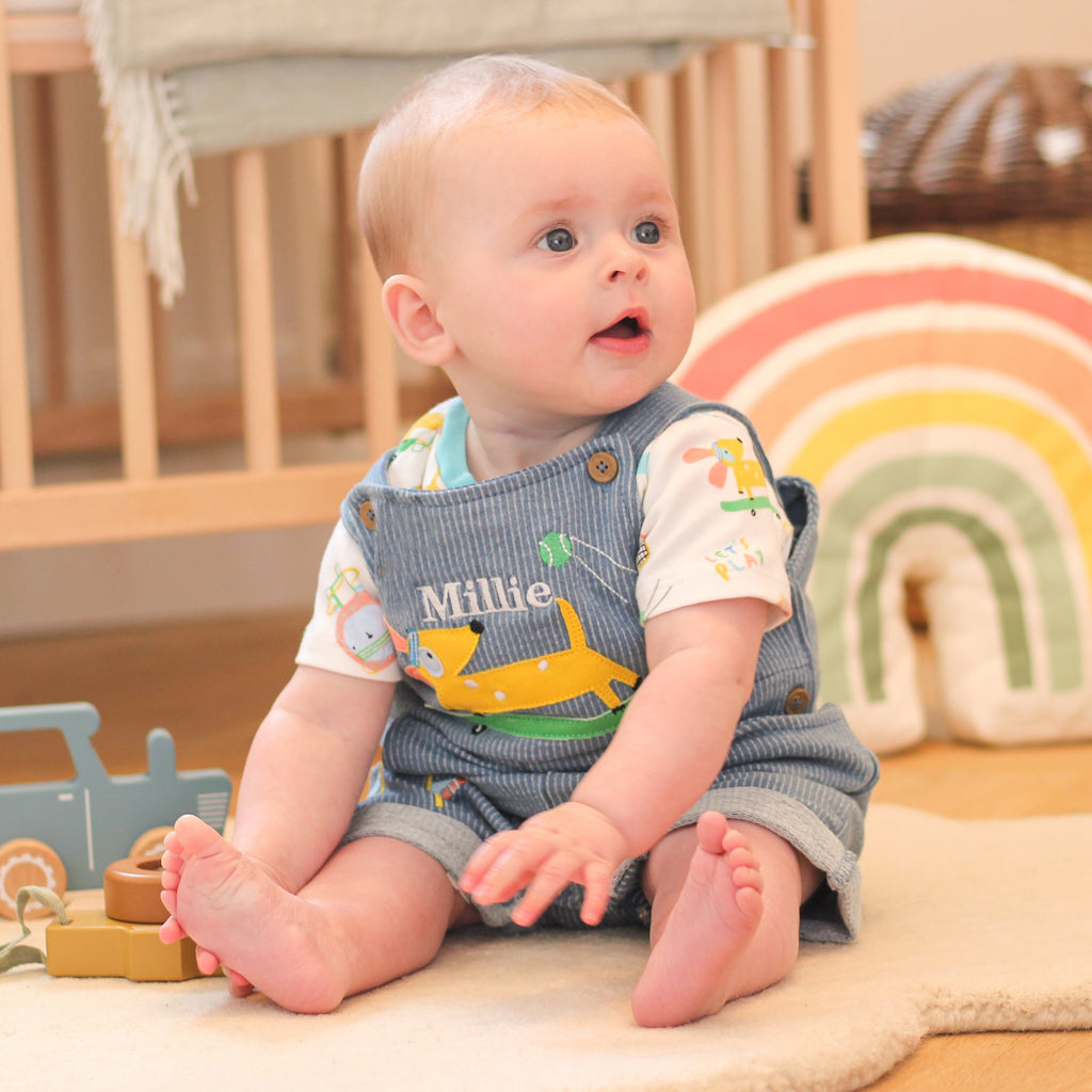 Personalised Dog Dungarees For Baby Newborn Gift