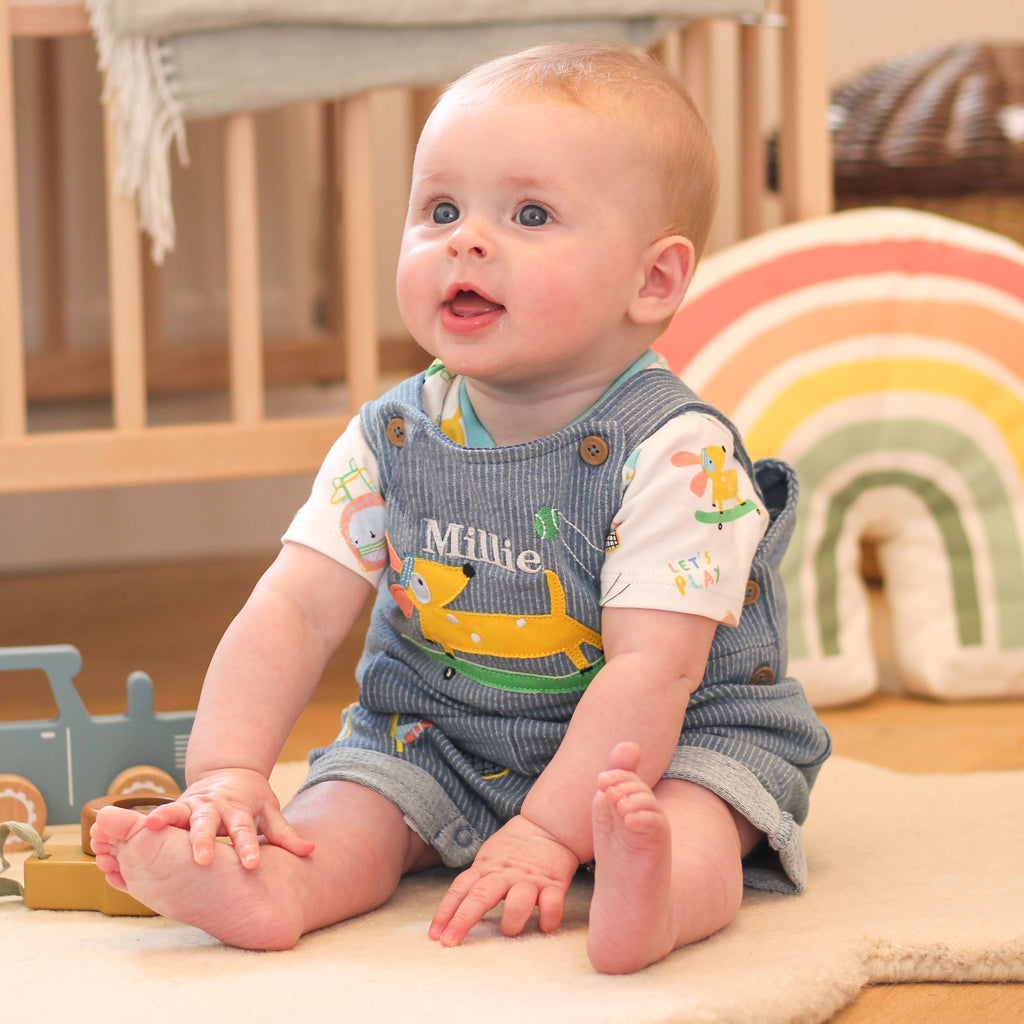 Personalised Dog Dungarees For Baby Newborn Gift